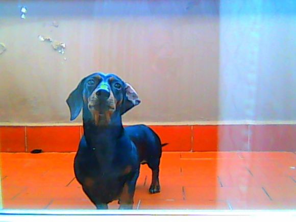 filippo